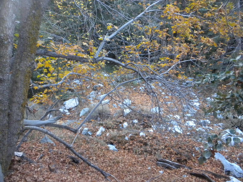 ceglen103110 014.jpg